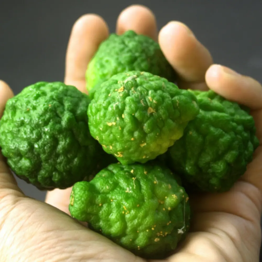 Bergamot Fruit