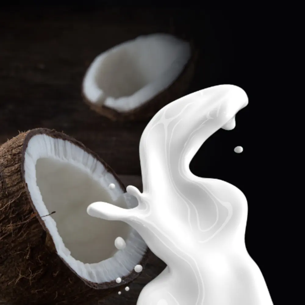 Coconut Milk