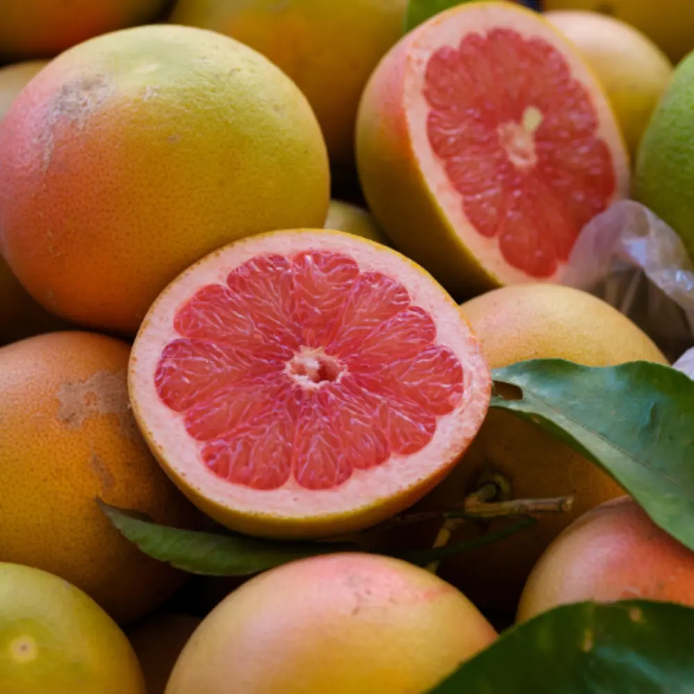 Grapefruit Slice