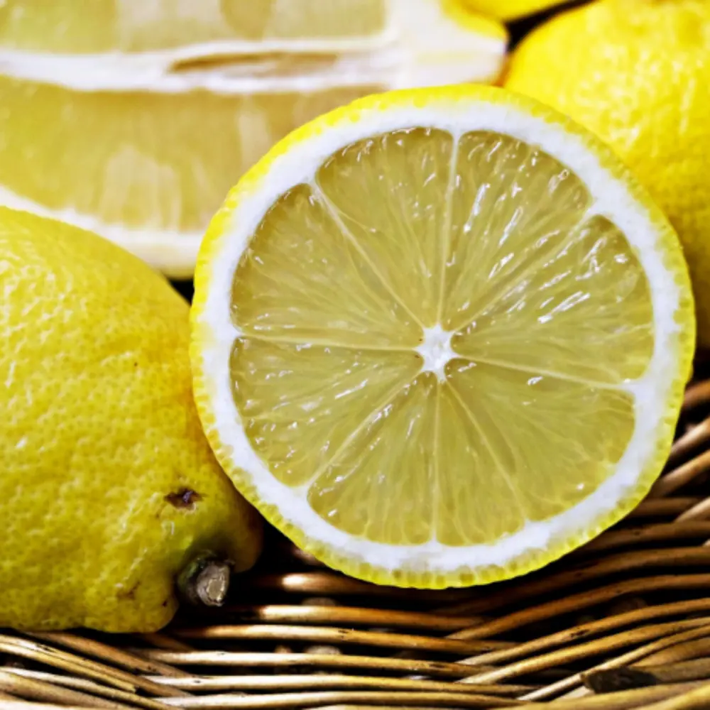 Lemon Slice