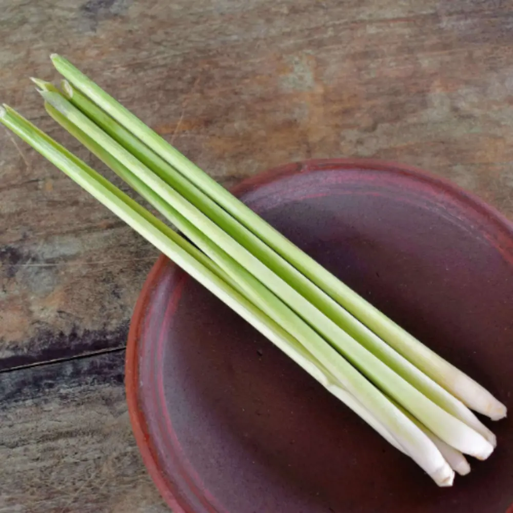 Lemongrass