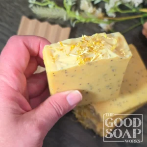 Sunlit Citrus Soap held showing top view